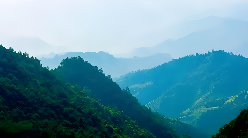 森林防火预警方案